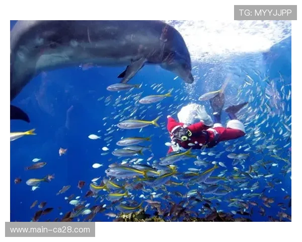 厦门君龙海豚队投手张喜凯实现CPB首次“完投胜”